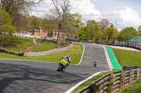 anglesey;brands-hatch;cadwell-park;croft;donington-park;enduro-digital-images;event-digital-images;eventdigitalimages;mallory;no-limits;oulton-park;peter-wileman-photography;racing-digital-images;silverstone;snetterton;trackday-digital-images;trackday-photos;vmcc-banbury-run;welsh-2-day-enduro